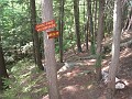 Elwell Trail NH 2010 150